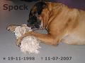 Spock 11 juli 2007